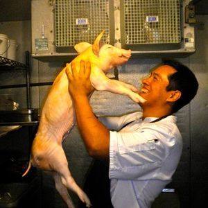 Meet your Posher, Gabriel